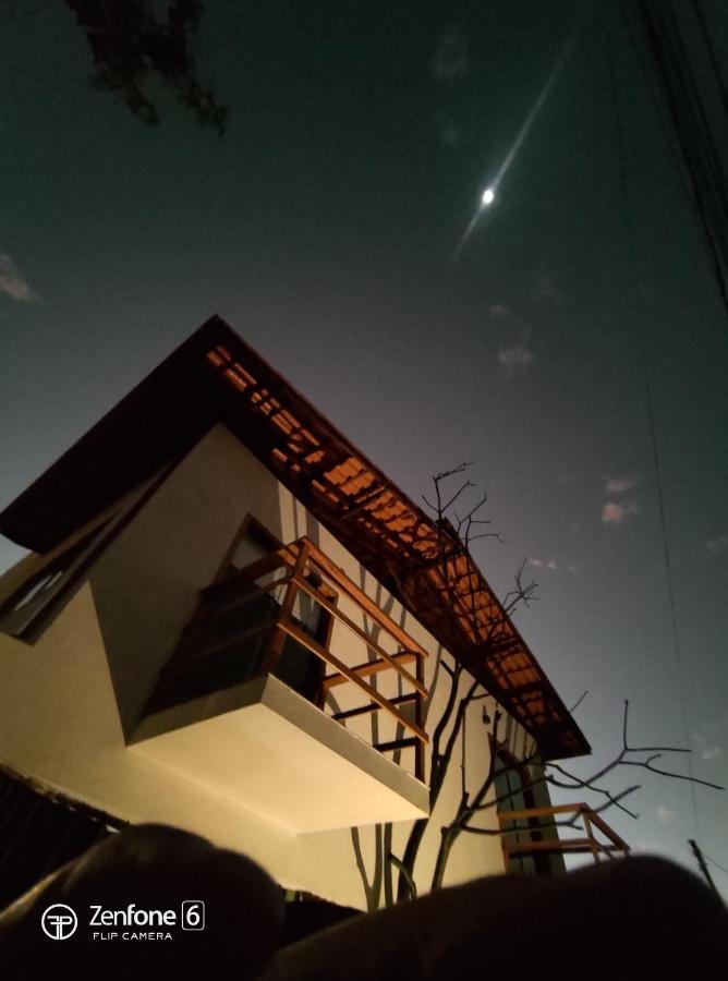Tronco Do Ipe